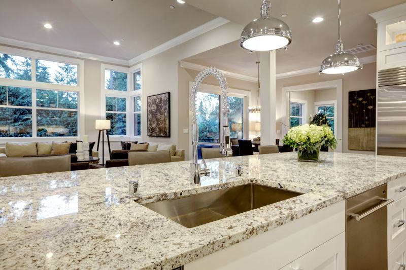Elegant Countertop Design